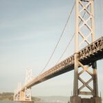 Bridge, what is dopamine
