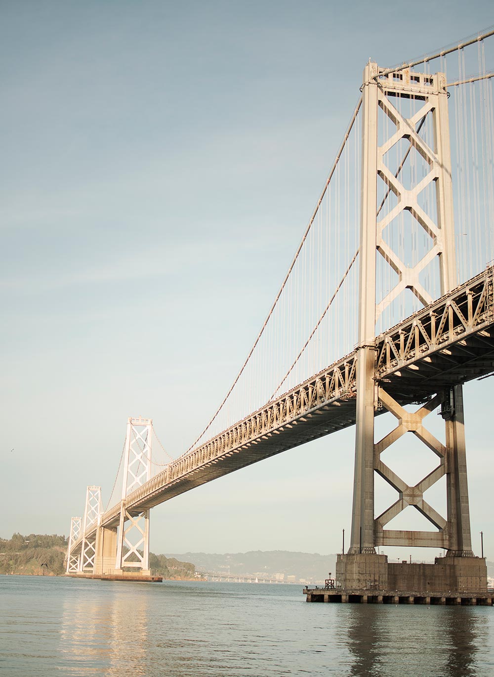 Bridge, what is dopamine